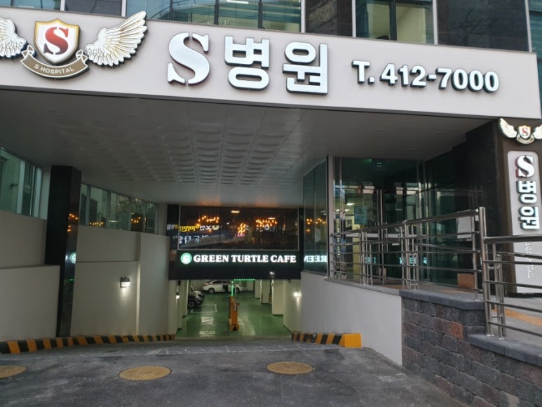 그린터틀 이미지