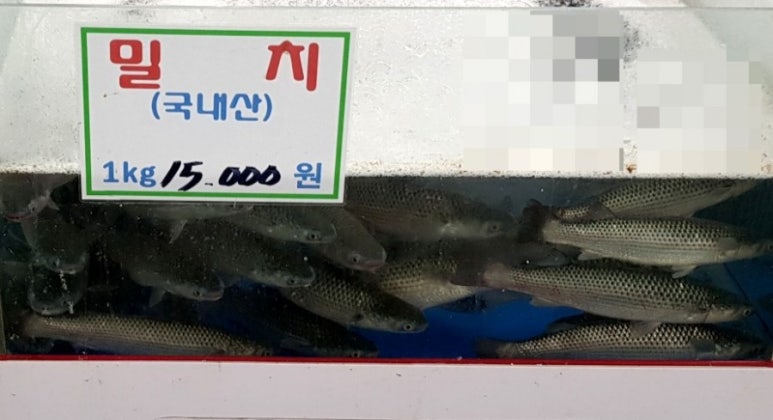 대구신화수산(주) 이미지