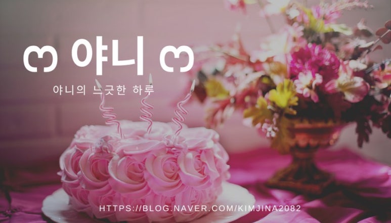 이디아린율 이미지