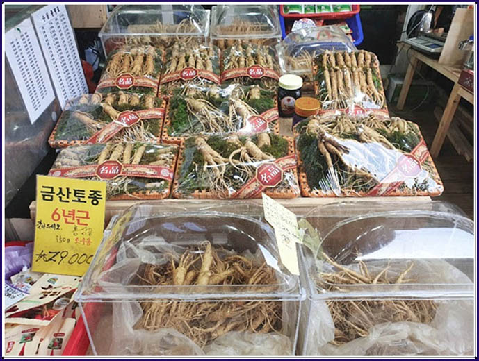 보령금산인삼사 이미지