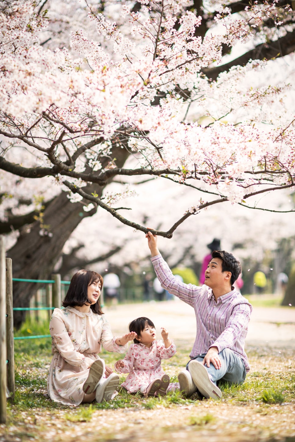 보노보스튜디오 이미지