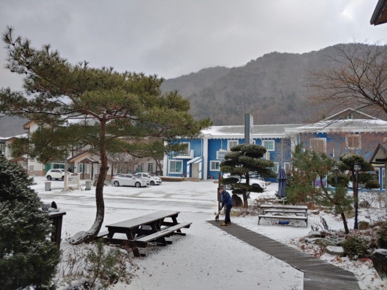 다숲스키샵 이미지