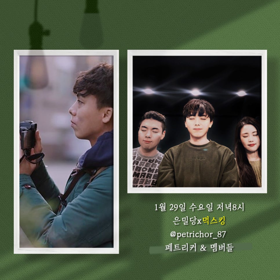 페트리커 이미지