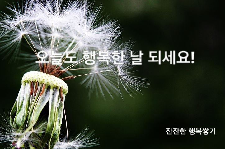 샤보이 미용실 이미지