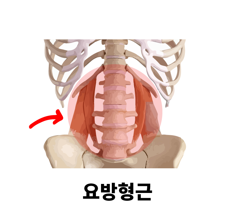 피트니스마틴 이미지