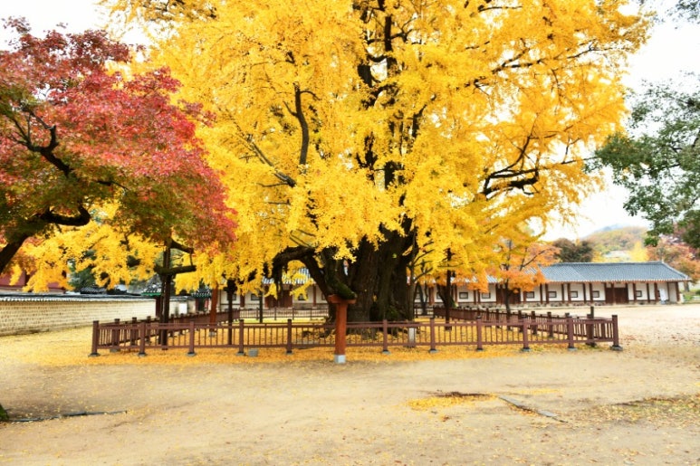 명문당 이미지