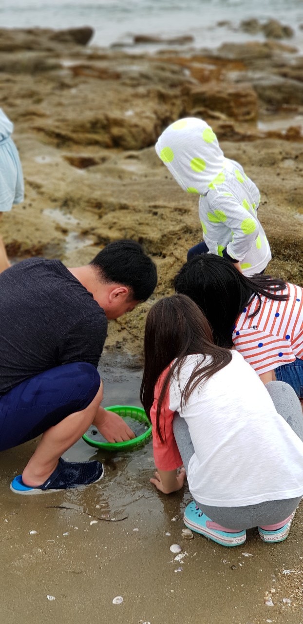 원산도민박숙박 이미지
