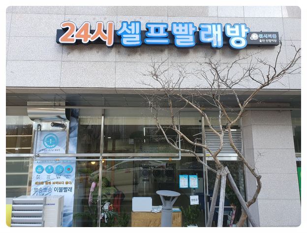 워시피플셀프빨래방울산 이미지