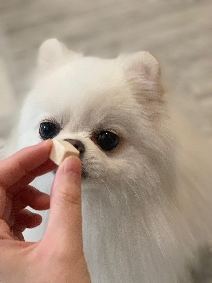 루이샵 이미지