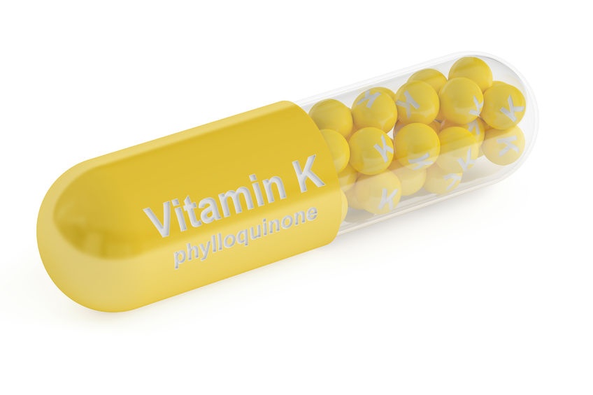 비타민 펫(VITAMIN-PET) 이미지