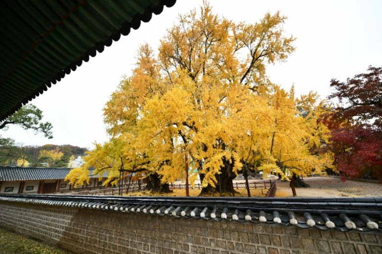 명문당 이미지