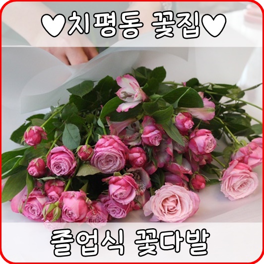 저스트플라워 이미지