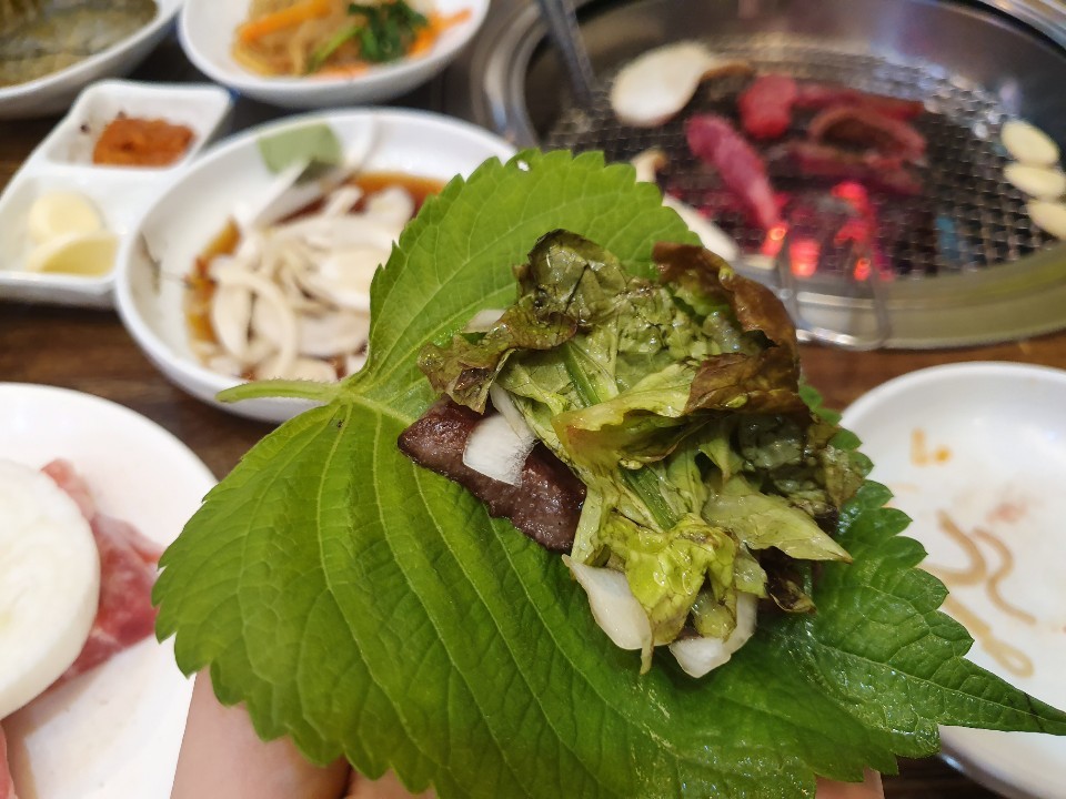 정안정 이미지