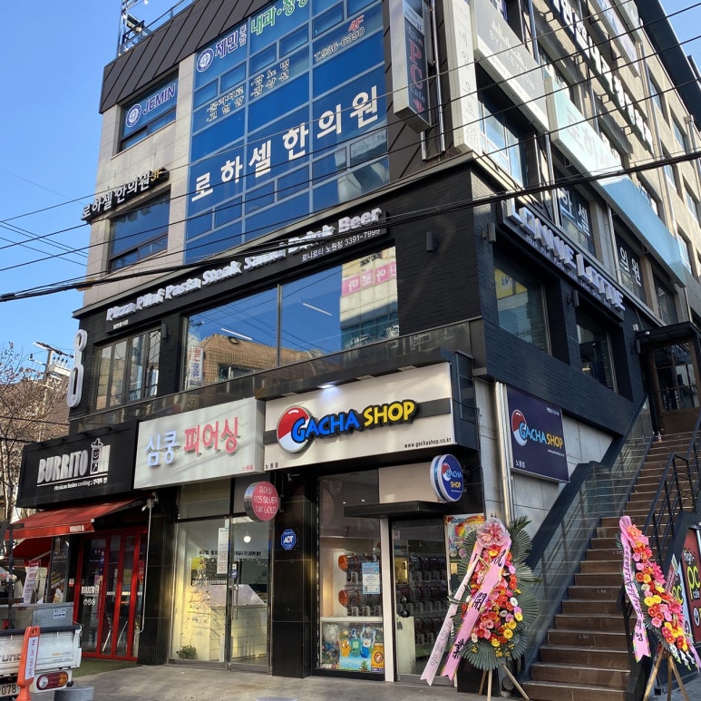 로티주 이미지