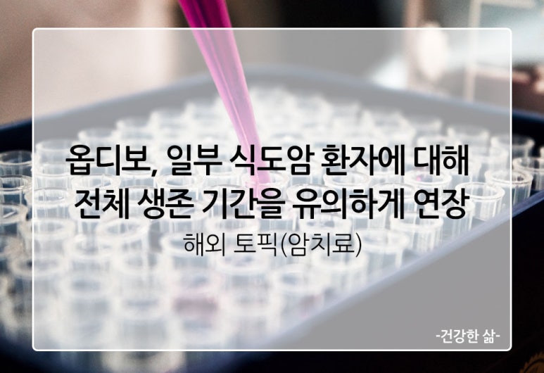 마브 주식회사 이미지