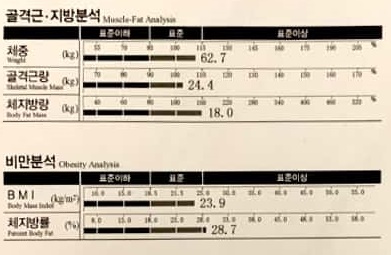 루케테 이미지