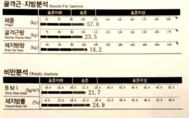 루케테 이미지