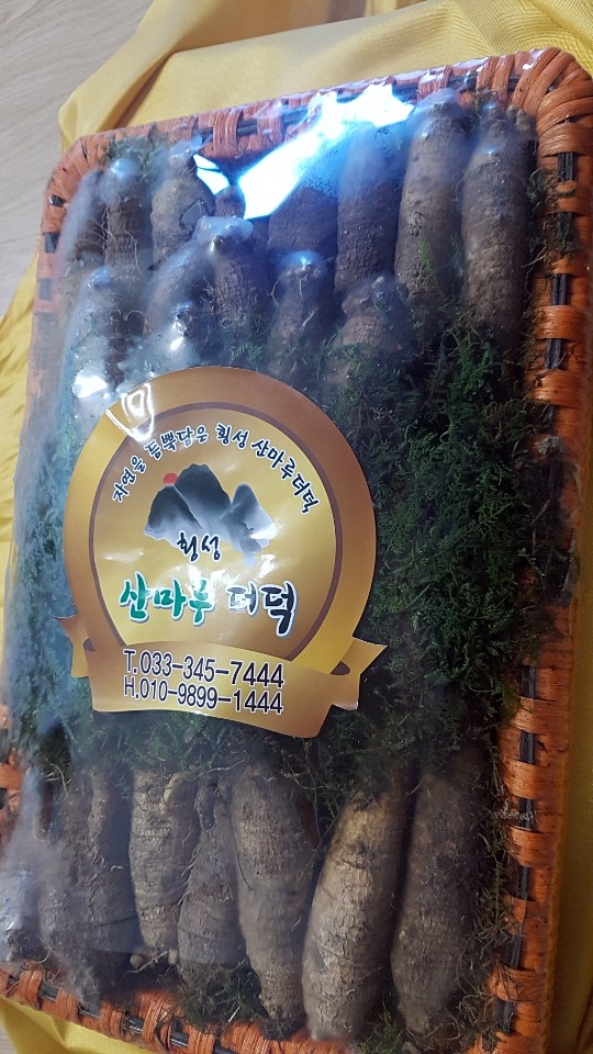 횡성산마루더덕 이미지