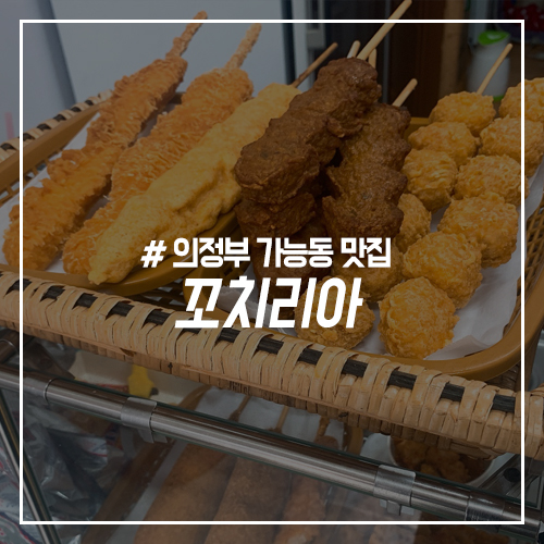 꼬치리아 이미지