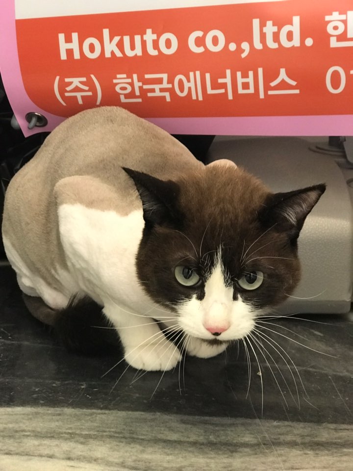 홍금보미용실 이미지