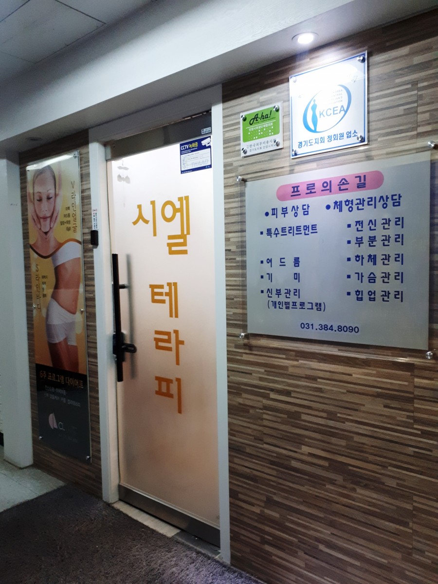 봄빛테라피 이미지