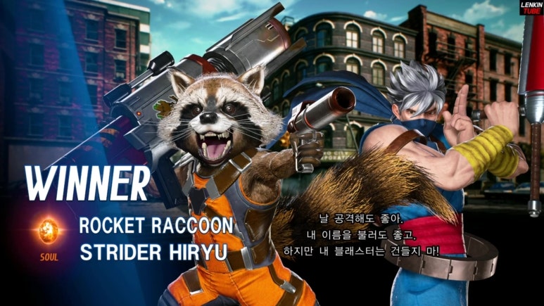 라쿤(Racoon) 이미지