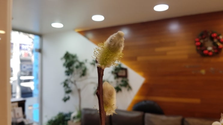 버들미용실 이미지