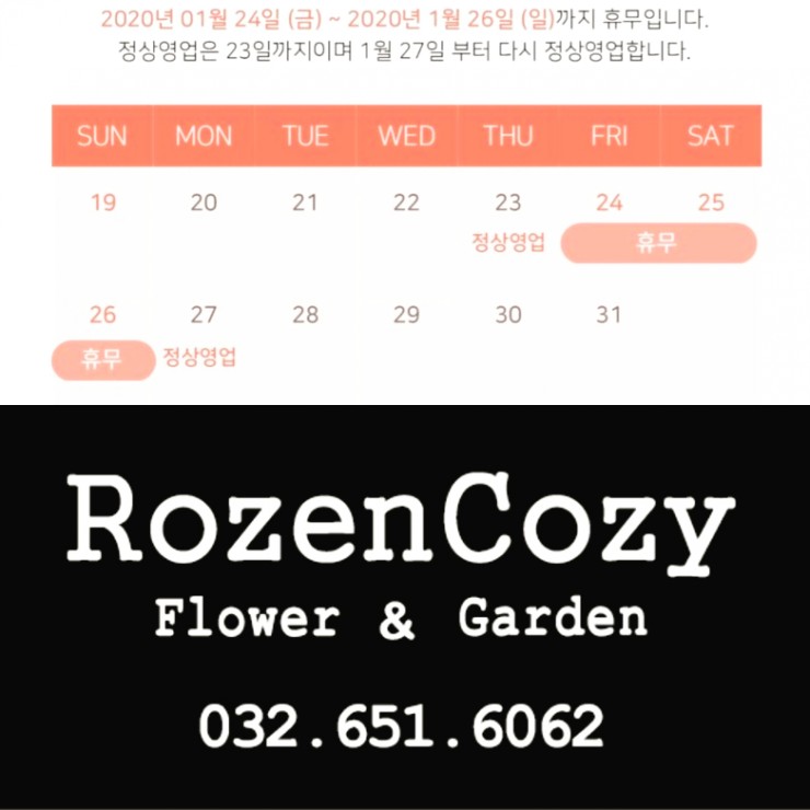 로젠코지 이미지
