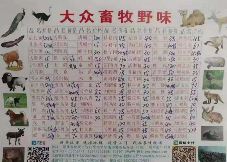 야생식당 이미지