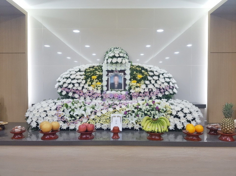 대한더라이프 이미지