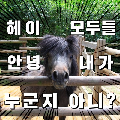 에스브로우 이미지
