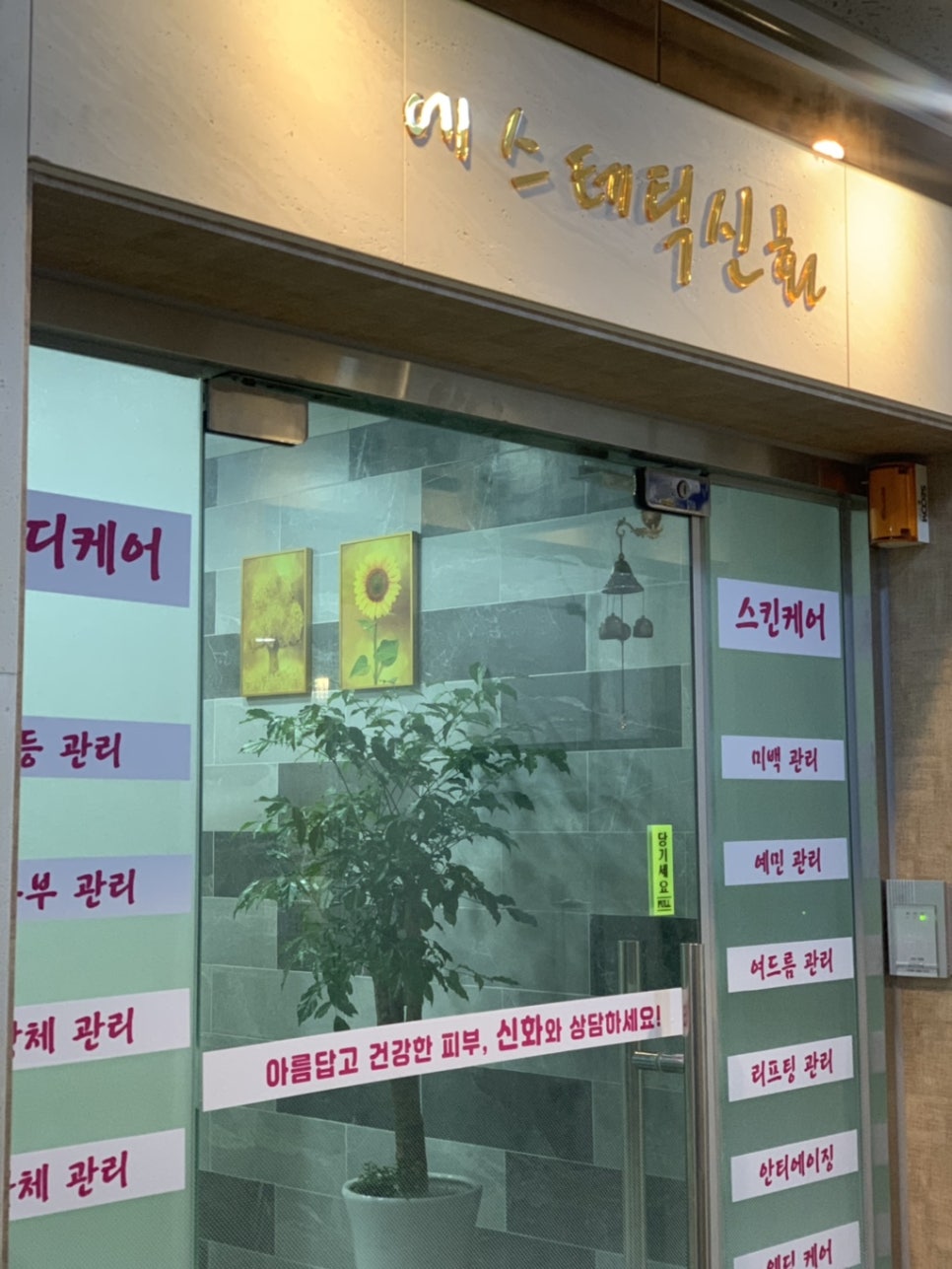 에스테틱 신화 이미지