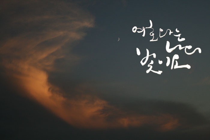 동일종합상사 이미지