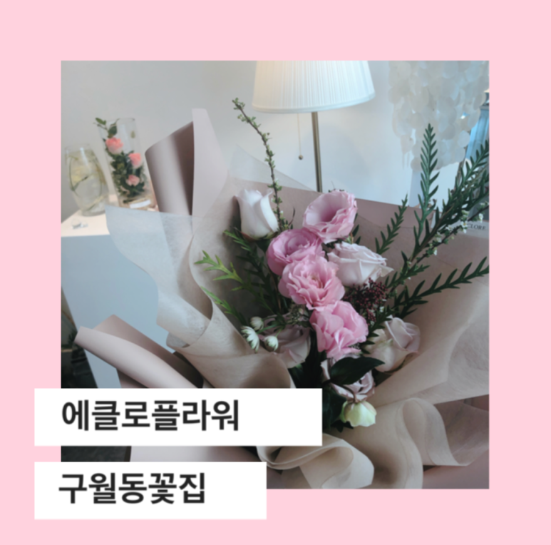에클로플라워 이미지