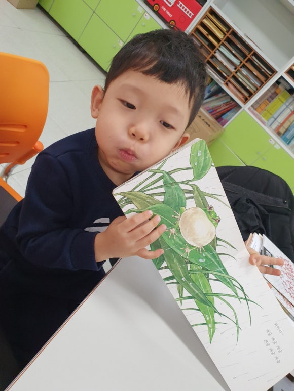 개구리노래클럽 이미지
