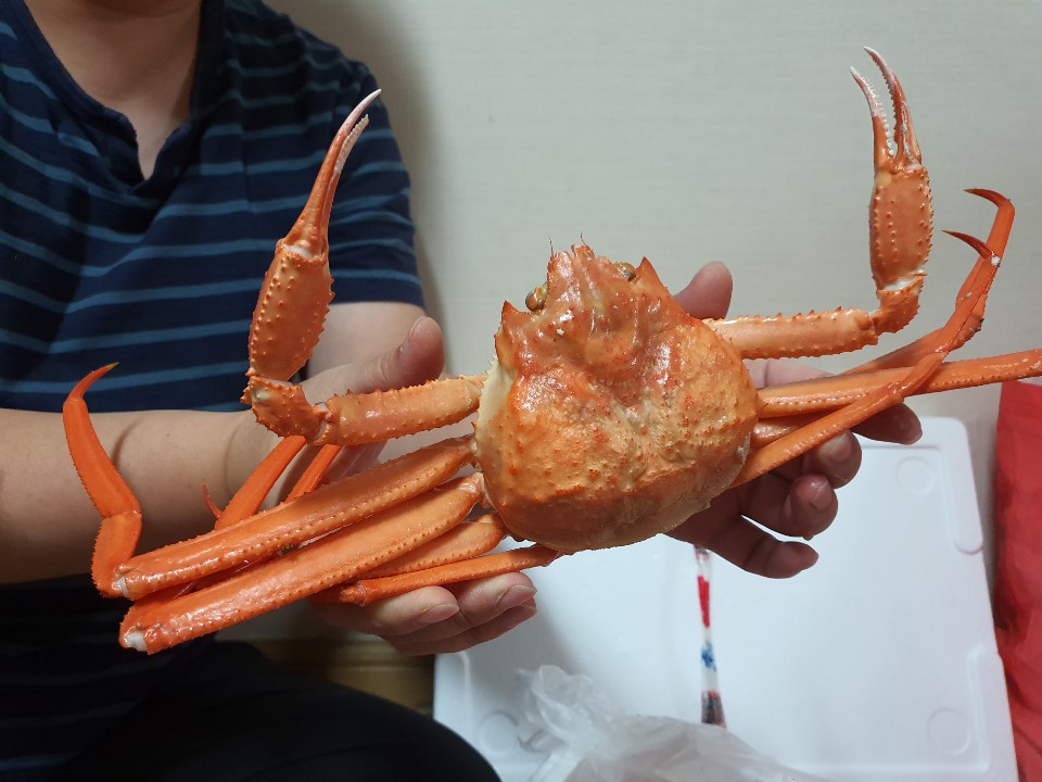 서정수산 이미지