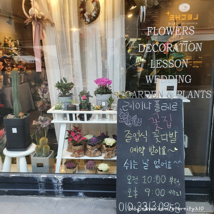 레이나플레르 이미지