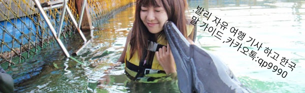 세랑 이미지