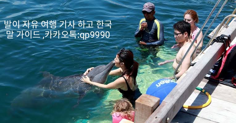 세랑 이미지