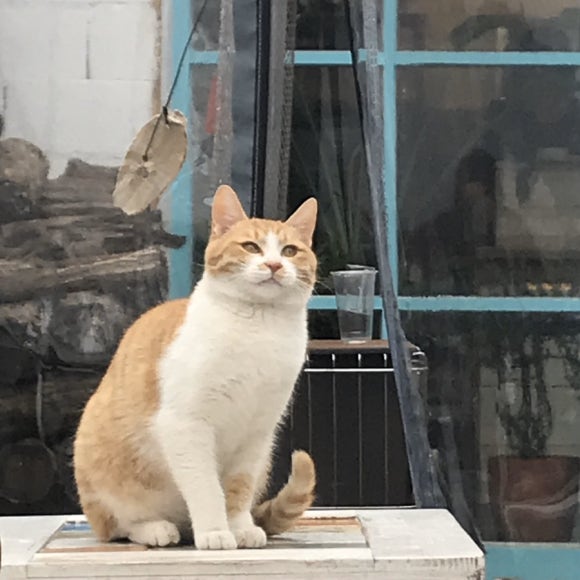 (주)인우건설 이미지