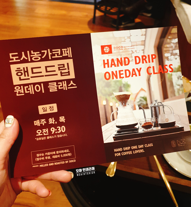 도코데이 이미지
