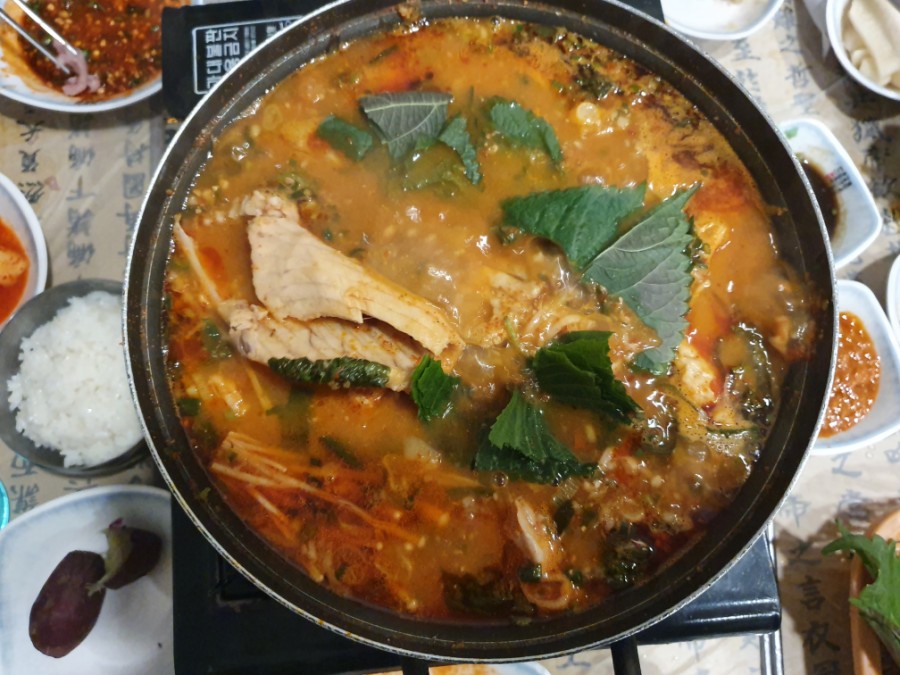 원조서원향어가 이미지