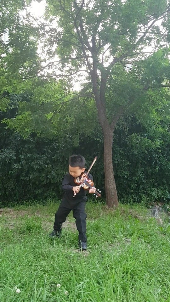 피아올린음악학원 이미지