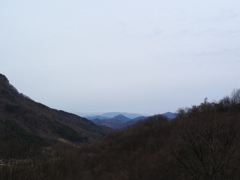 천지삐깔 이미지