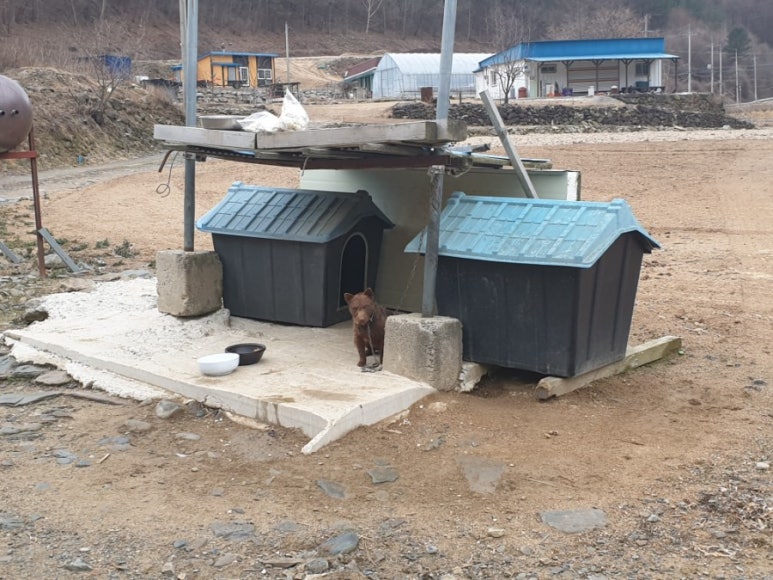 수항막국수 이미지