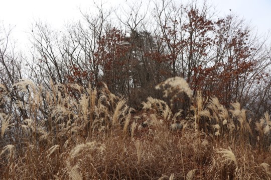 운곡천 이미지