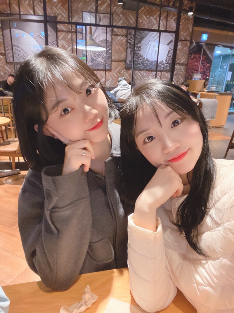 지코보코 이미지