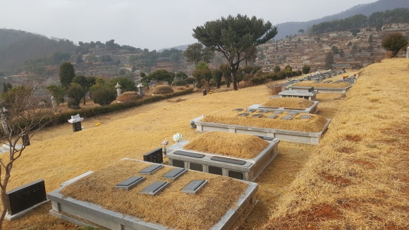 신세계장묘 이미지