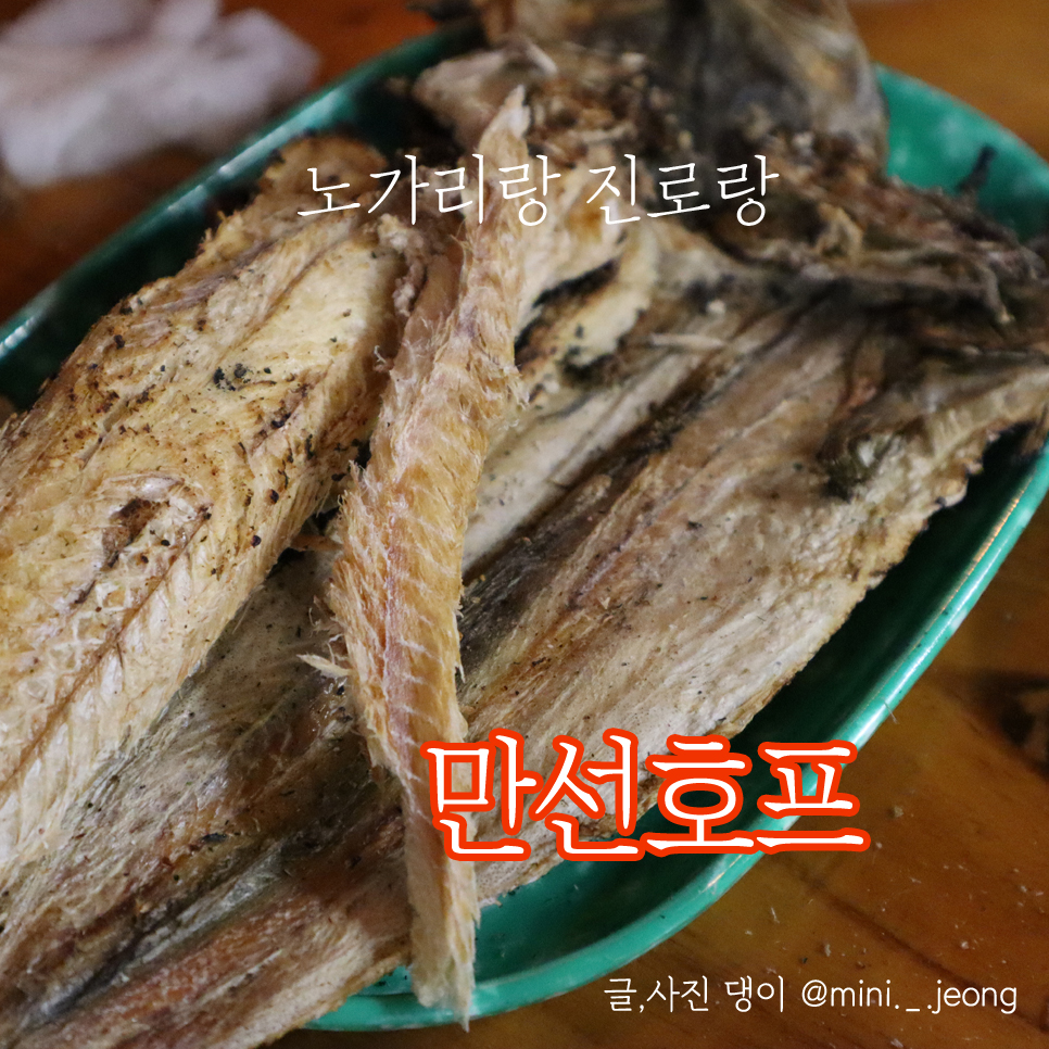 혜자호프 이미지