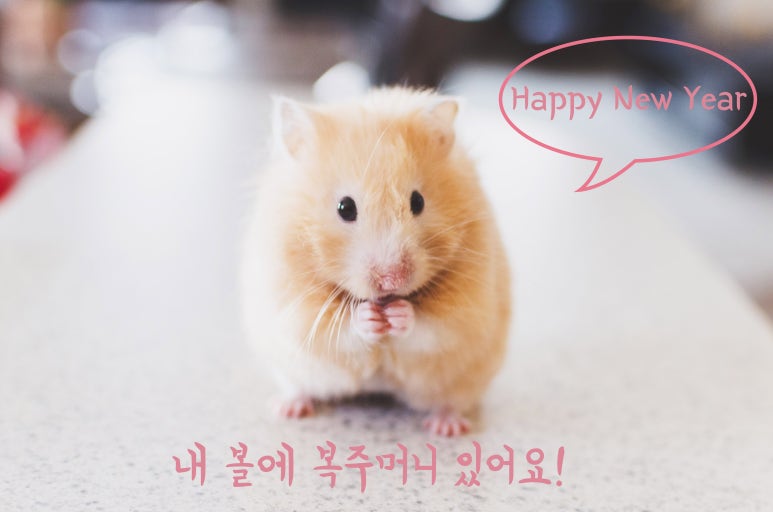잇츠비 이미지